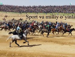 Traditional Sports as a Symbol of National Pride